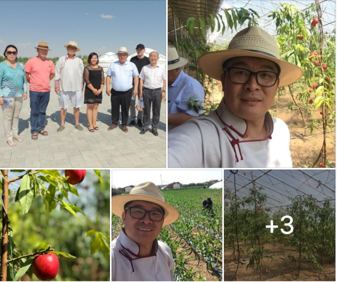 Screen Shot 2018-07-08 at 8.06.13 PM